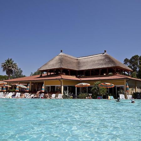 Camping Free Beach Marina Di Bibbona Dış mekan fotoğraf